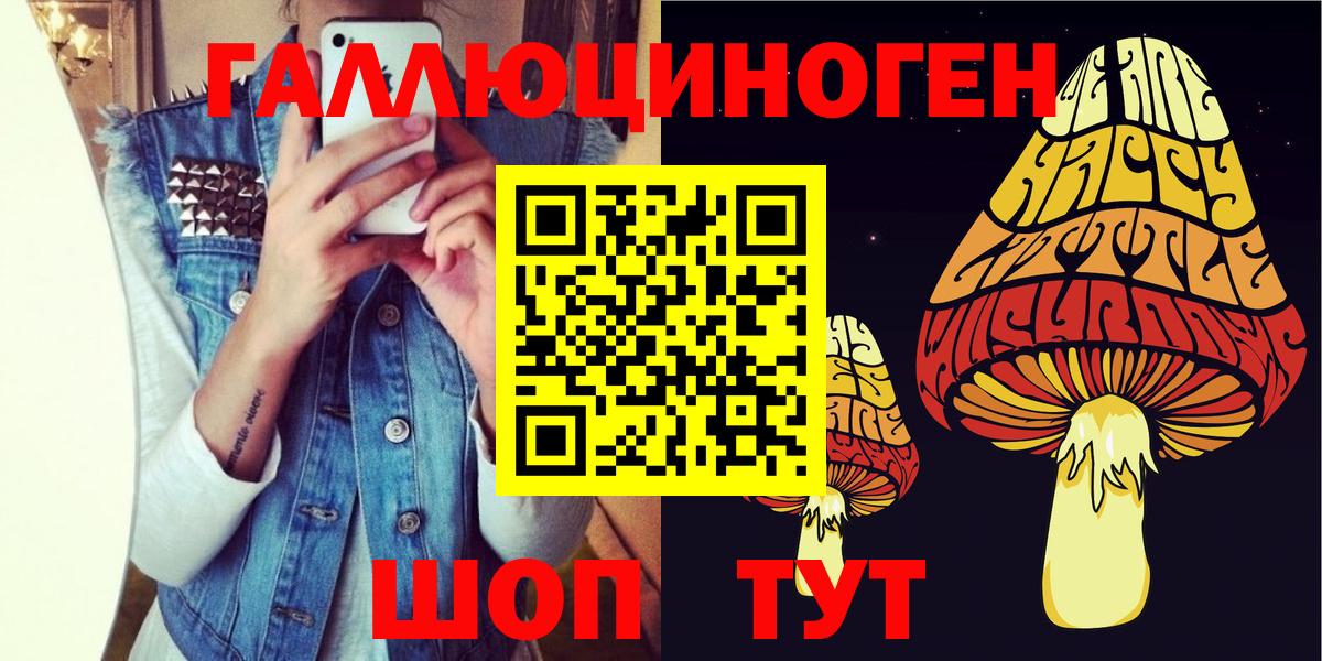 Псилоцибиновые грибы мицелий Вичуга